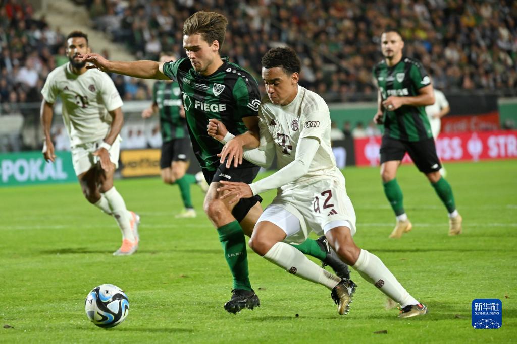 意外来客，切尔西和巴萨欧冠赛前一只狐狸闯入斯坦福桥看台（欧冠赛前惊现狐狸闯入斯坦福桥看台，切尔西对巴萨迎来意外访客）